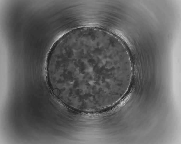 X0000096491071200801241500