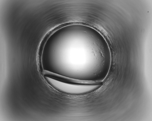 X0000096491072200801241500