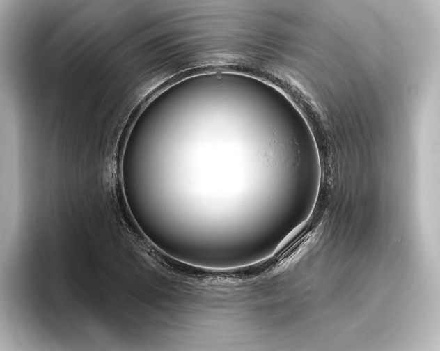 X0000096491073200801241500