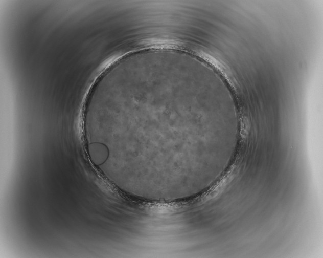 X0000096491074200801241500