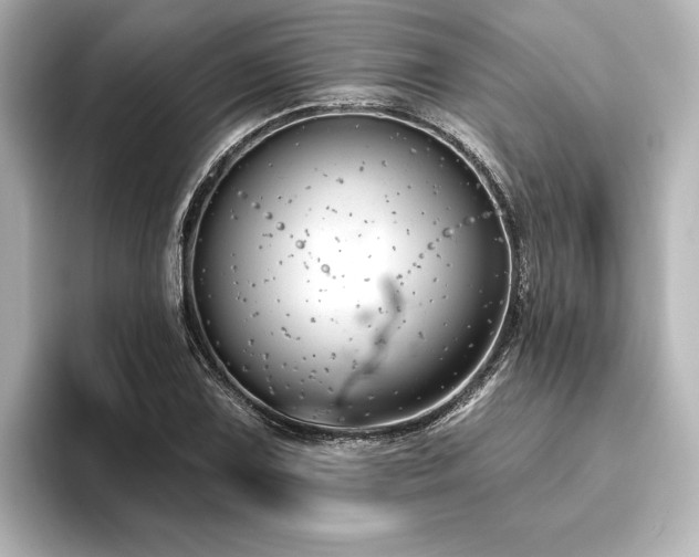 X0000096491075200801241500