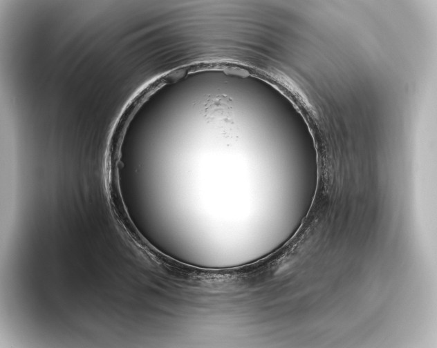 X0000096491076200801241500