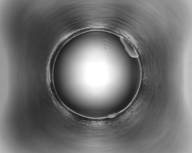 X0000096491080200801241500