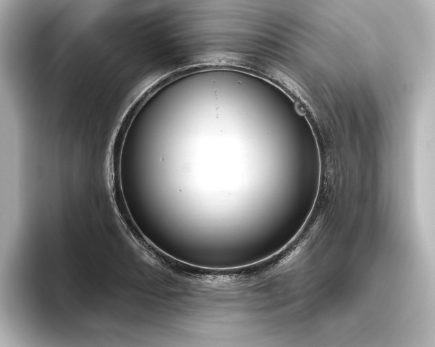 X0000096491082200801241459