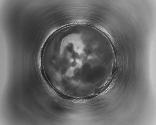 X0000096491083200801241459