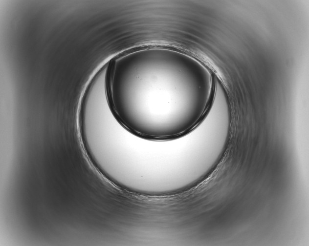 X0000096491084200801241459