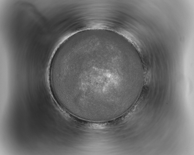 X0000096491086200801241459