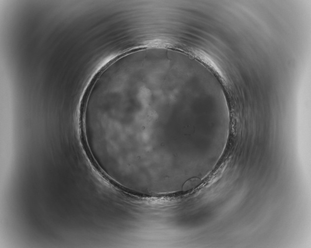 X0000096491087200801241459