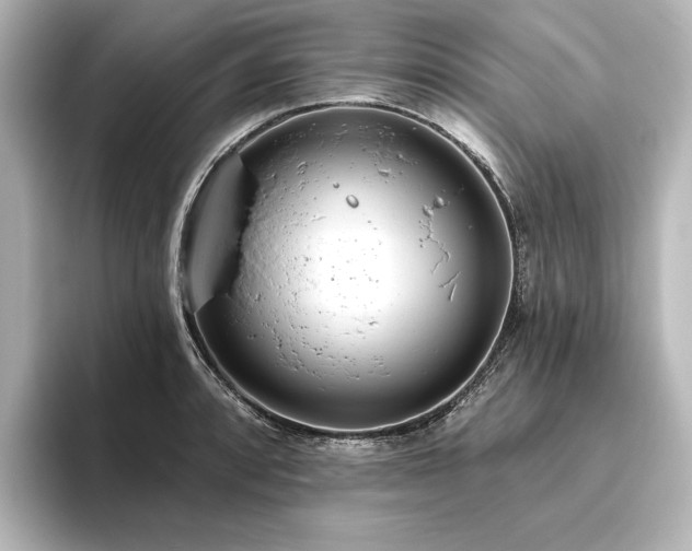 X0000096491088200801241459