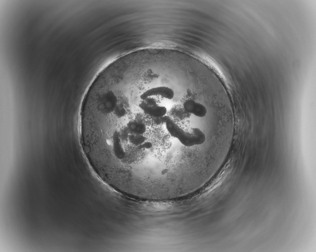 X0000096491095200801241459