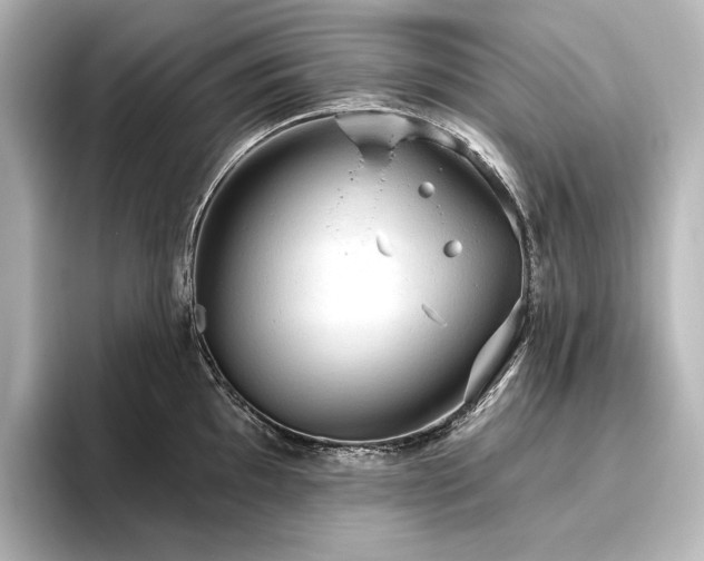 X0000096491097200801241459