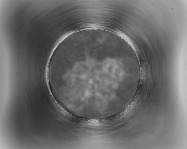 X0000096491098200801241459