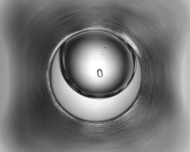 X0000096491100200801241459