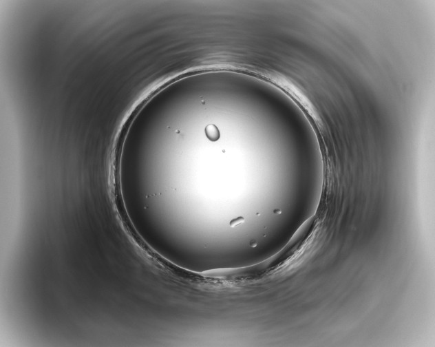 X0000096491101200801241459