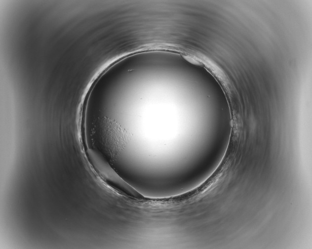 X0000096491102200801241459