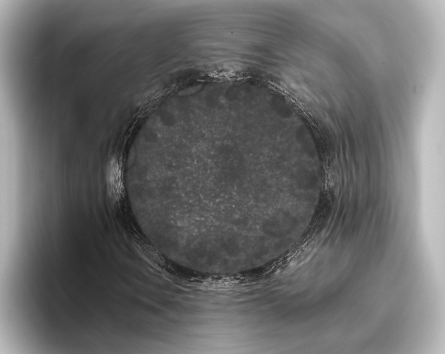 X0000096491106200801241459