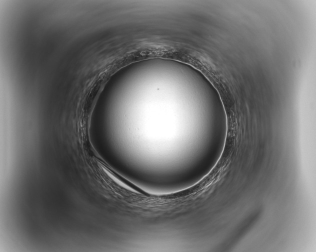 X0000096491109200801241459