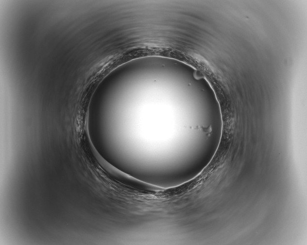 X0000096491110200801241459