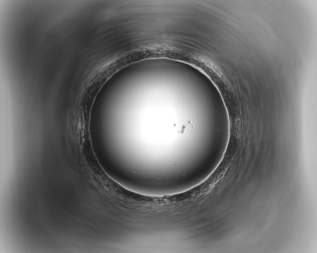 X0000096491111200801241459