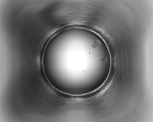 X0000096491113200801241459