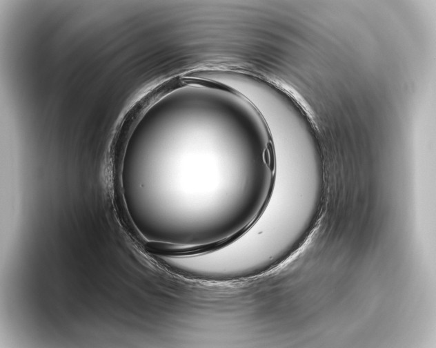 X0000096491114200801241459