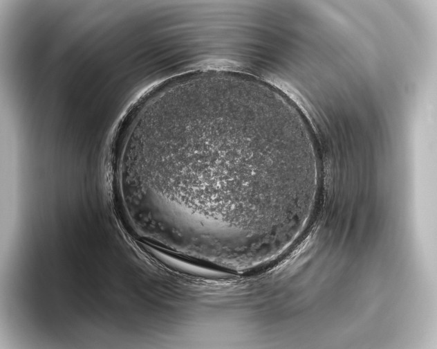 X0000096491115200801241459