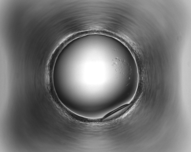 X0000096491118200801241459