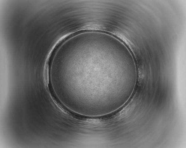 X0000096491123200801241459