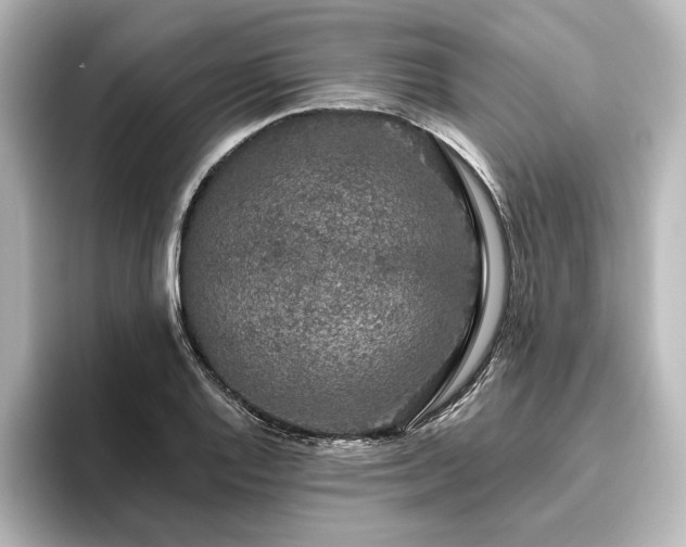 X0000096491128200801241459