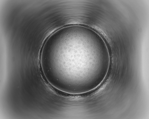 X0000096491129200801241459