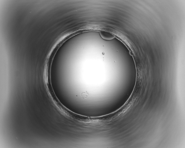 X0000096491131200801241459