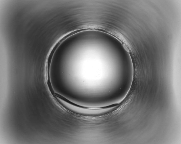 X0000096491132200801241459