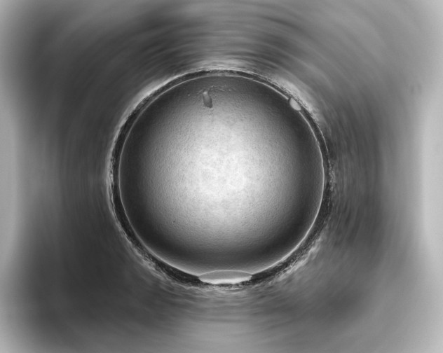 X0000096491133200801241459