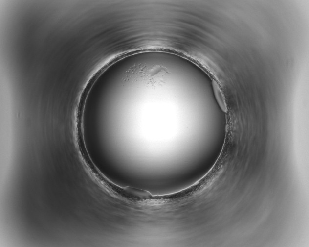 X0000096491134200801241459