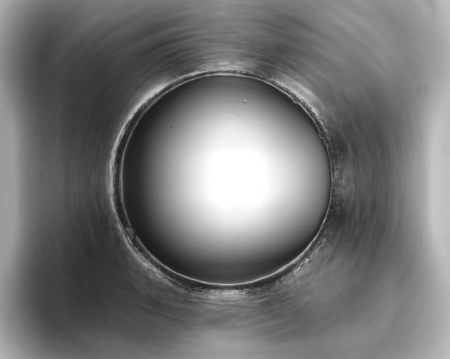 X0000096491135200801241459