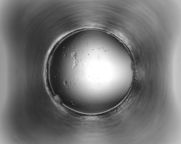 X0000096491136200801241459