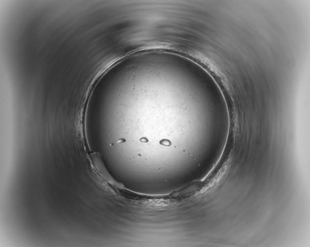 X0000096491137200801241459