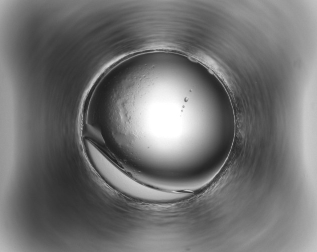 X0000096491140200801241459