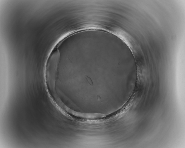 X0000096491142200801241459