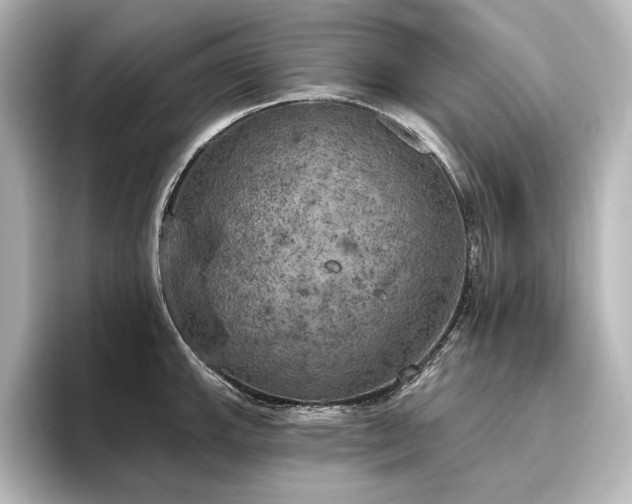 X0000096491143200801241459