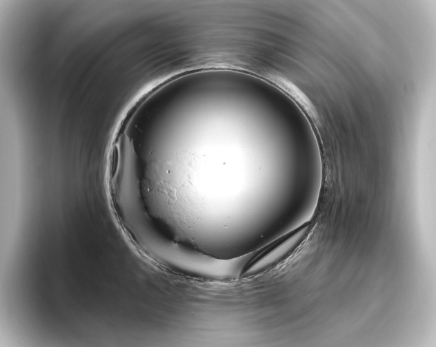 X0000096491144200801241459