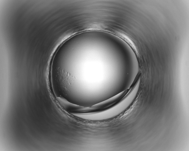 X0000096491146200801241459
