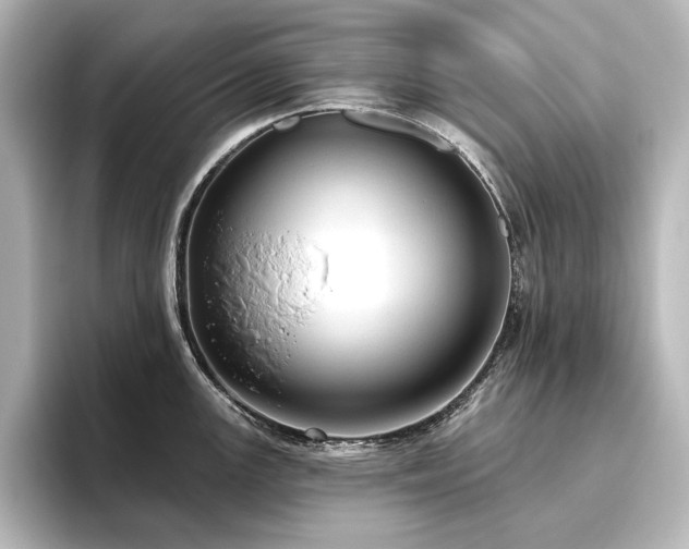 X0000096491147200801241459