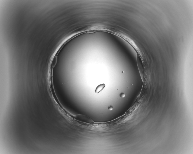 X0000096491148200801241459