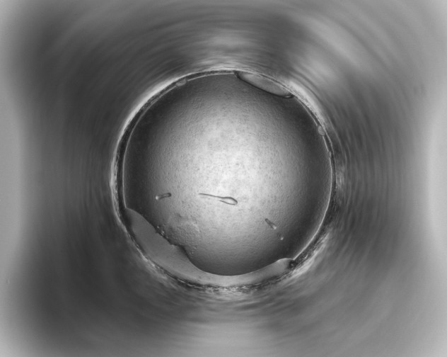 X0000096491149200801241459