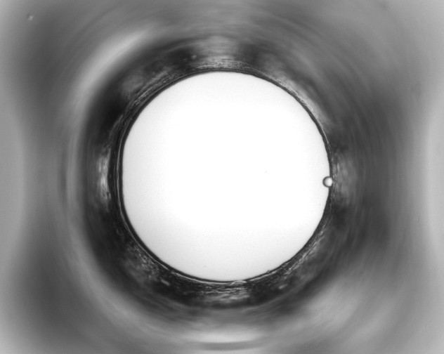 X0000096491150200801241459