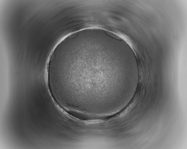 X0000096491151200801241459