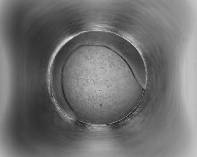 X0000096491152200801241459