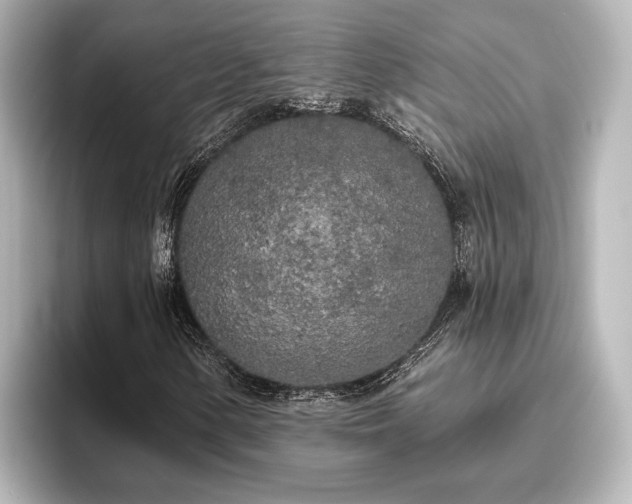 X0000096491154200801241459
