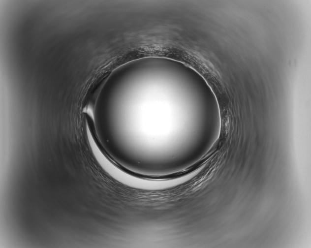 X0000096491156200801241459